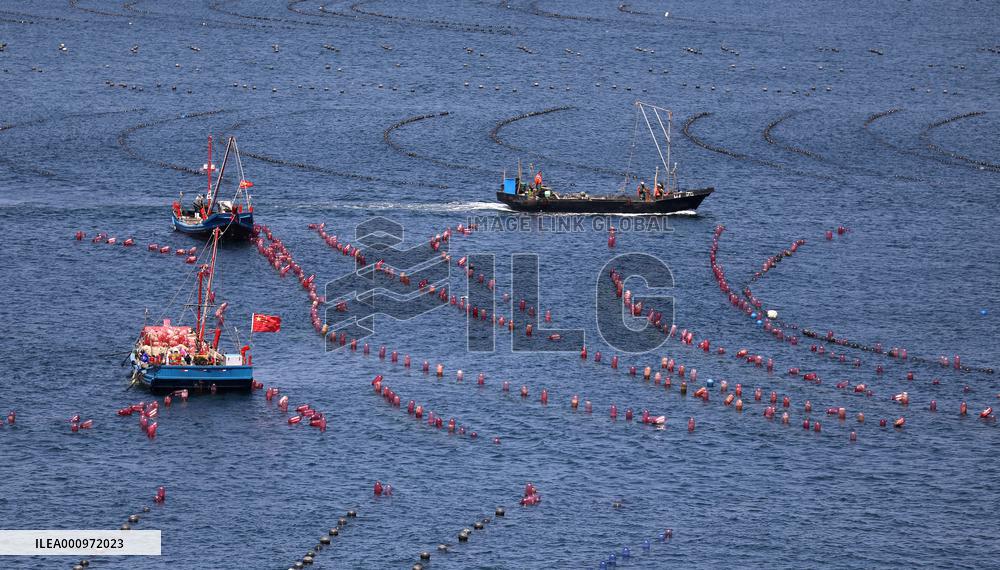 CHINA-LIAONING-CHANGHAI-MARINE RANCH (CN)
