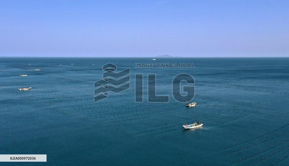 CHINA-LIAONING-CHANGHAI-MARINE RANCH (CN)