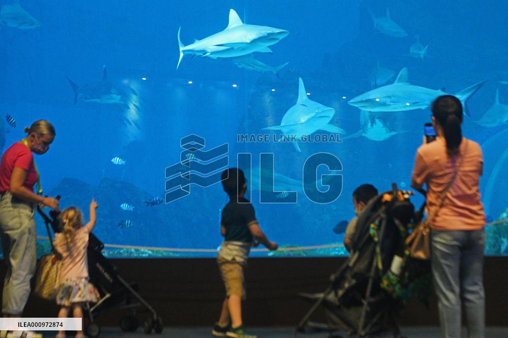 SINGAPORE-AQUARIUM