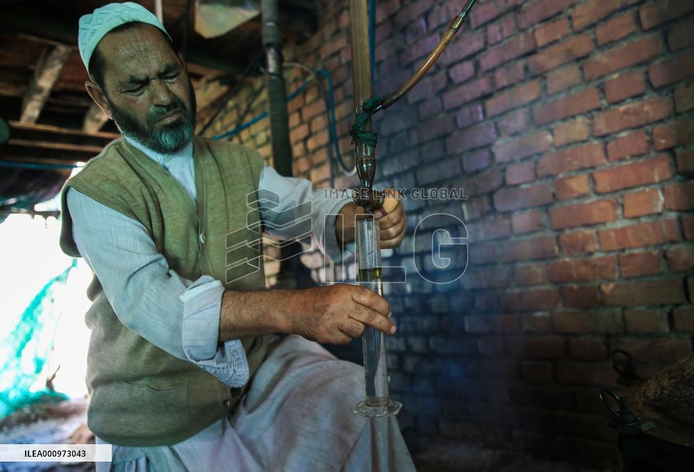 KASHMIR-ROSE FARMING-EXTRACTION OF ROSE OIL