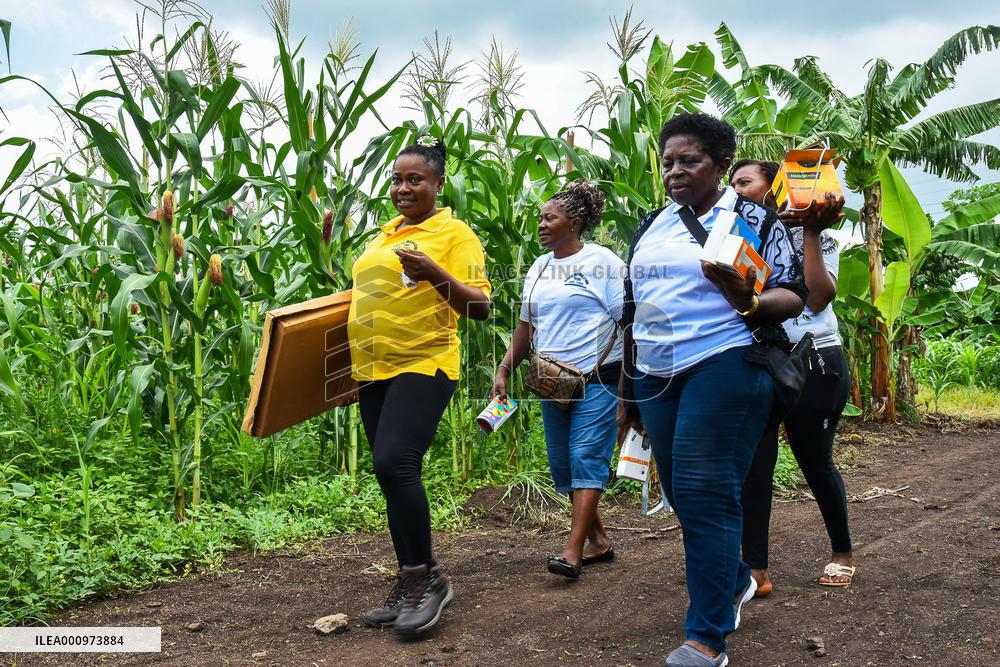 CAMEROON-TIKO-SOLAR PANEL-SOLAR MAMA