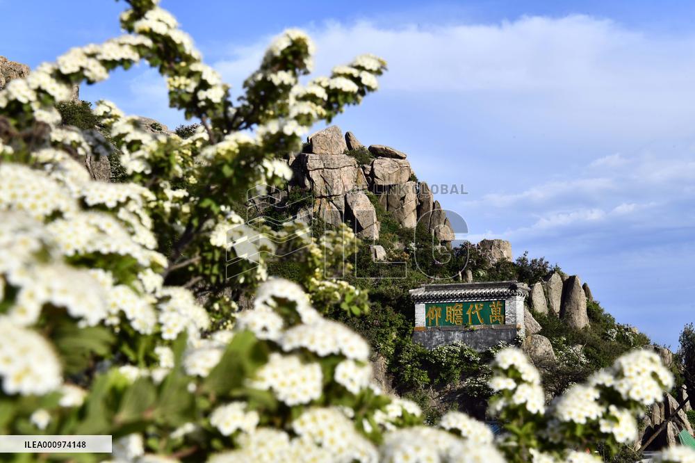 CHINA-SHANDONG-MOUNT TAISHAN-WORLD HERITAGE (CN)