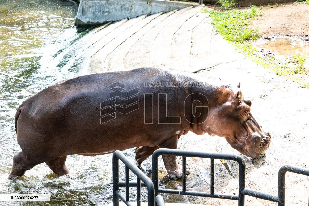 SRI LANKA-COLOMBO-ECONOMIC CRISIS-ZOO-FOOD SHORTAGE