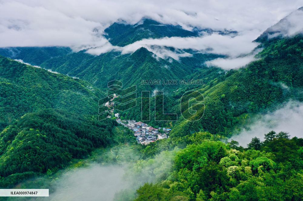 CHINA-FUJIAN-MOUNT WUYI-WORLD HERITAGE (CN)