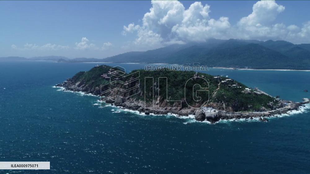 Corals planted to protect marine ecosystem in Hainan, China