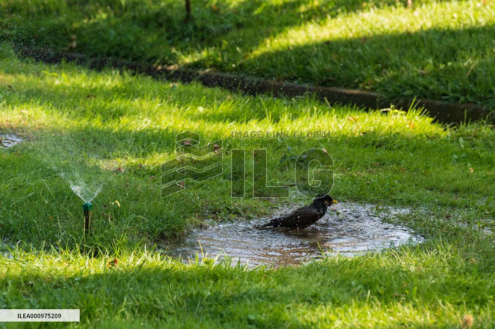 UZBEKISTAN-TASHKENT-HOT WEATHER