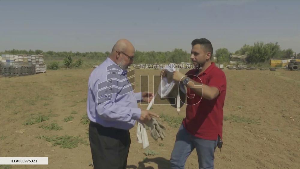 GLOBALink | Gazan beekeepers face up to challenges as climate change takes toll on honey production