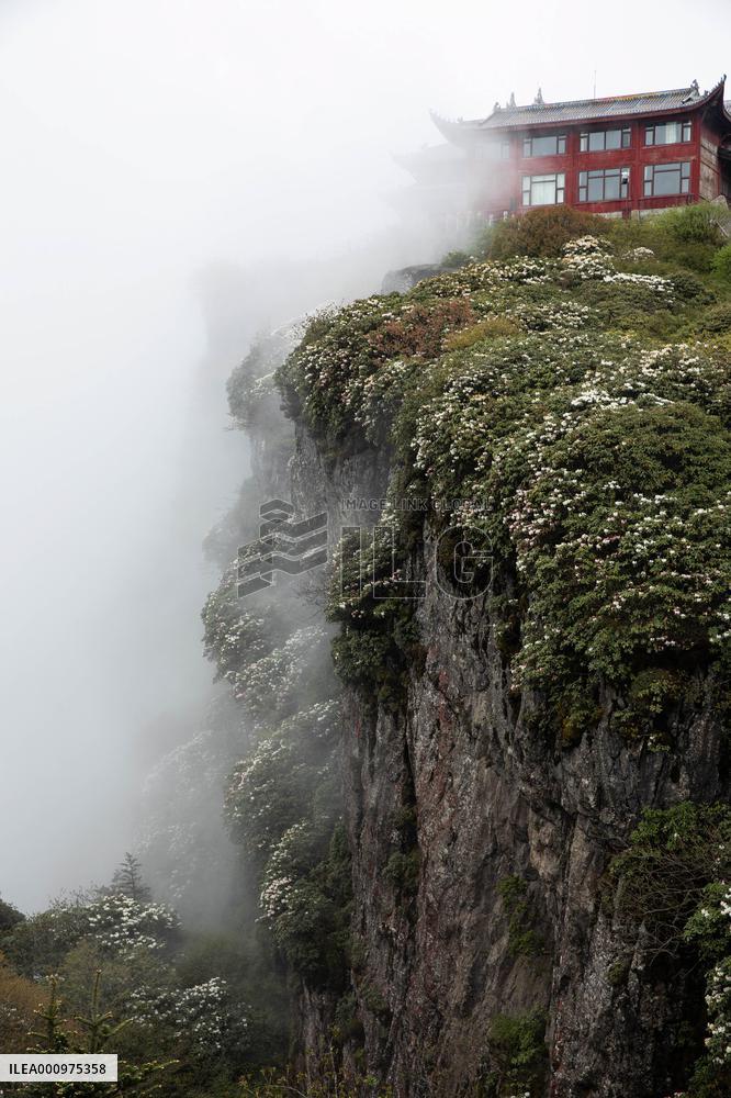 CHINA-SICHUAN-MOUNT EMEI-WORLD HERITAGE (CN)
