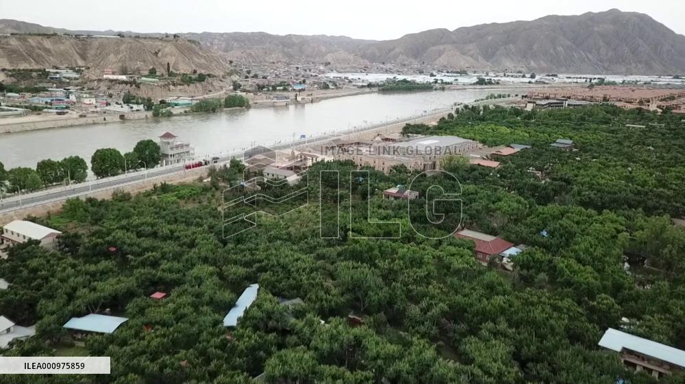 International students experience traditional farming in NW China