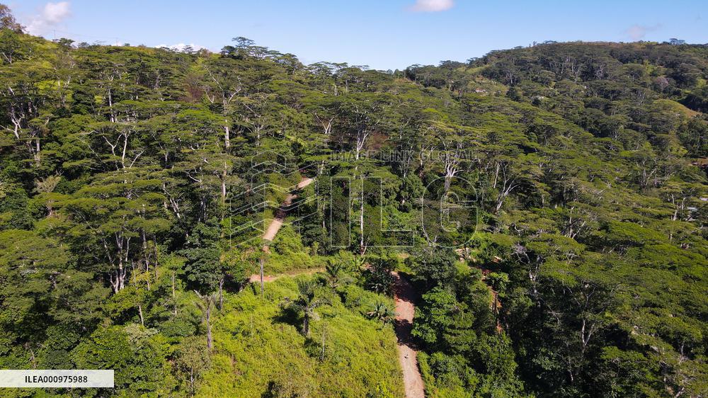 TIMOR-LESTE-COFFEE INDUSTRY