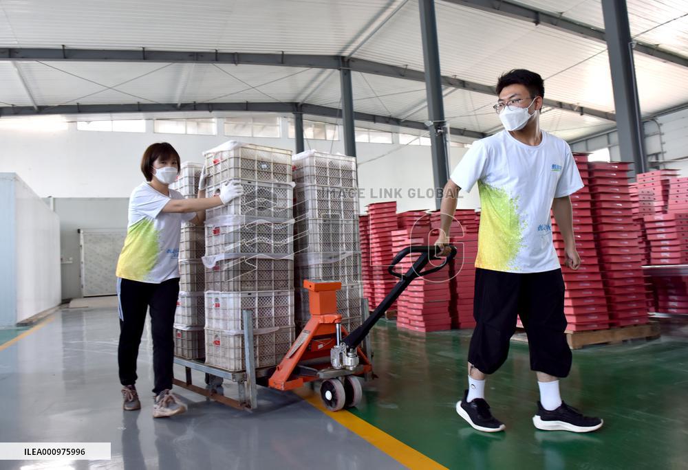 CHINA-HEBEI-E-COMMERCE (CN)