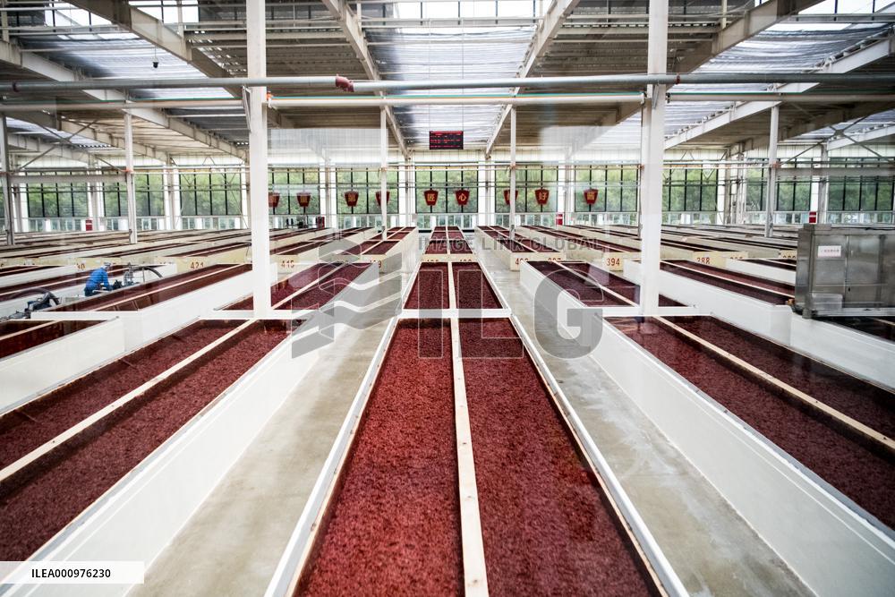 CHINA-SICHUAN-CHENGDU-SICHUAN CUISINE (CN)