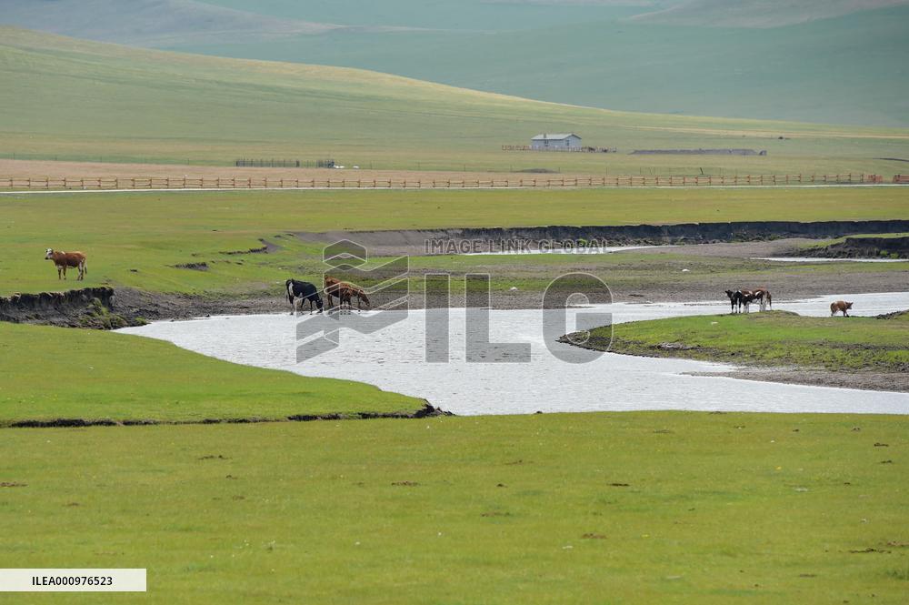 CHINA-INNER MONGOLIA-MERGEL GOL RIVER-SCENERY (CN)