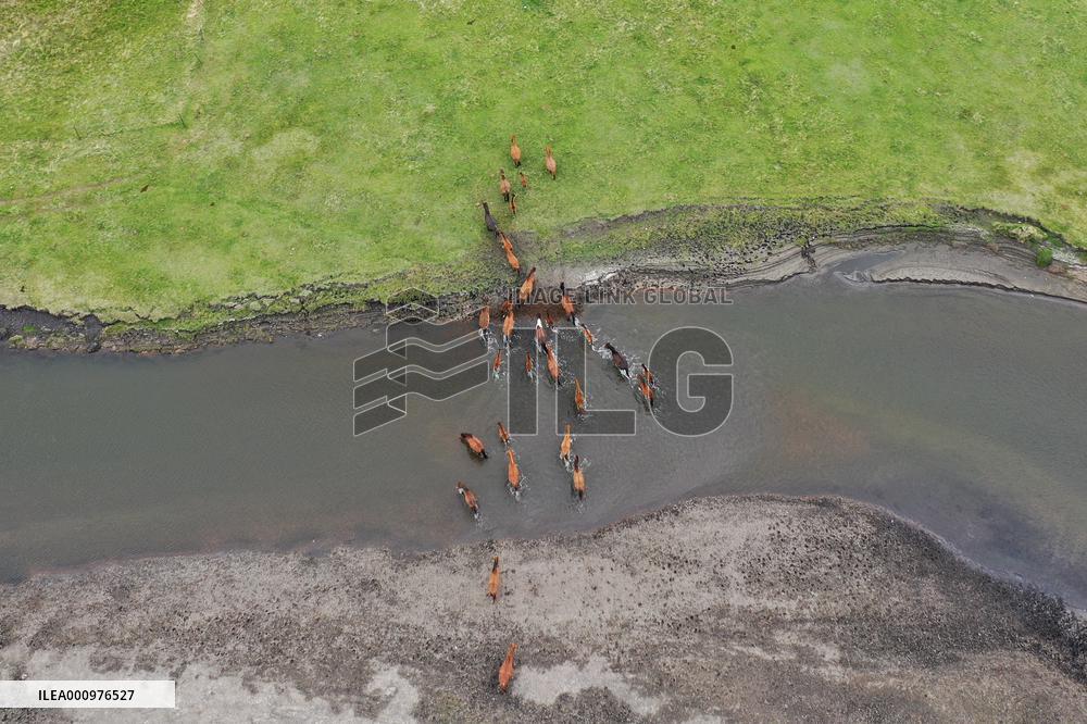 CHINA-INNER MONGOLIA-MERGEL GOL RIVER-SCENERY (CN)