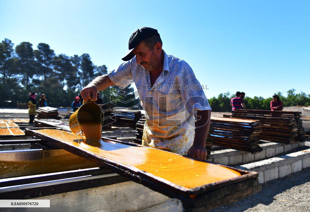 SYRIA-DAMASCUS-APRICOT-PASTE