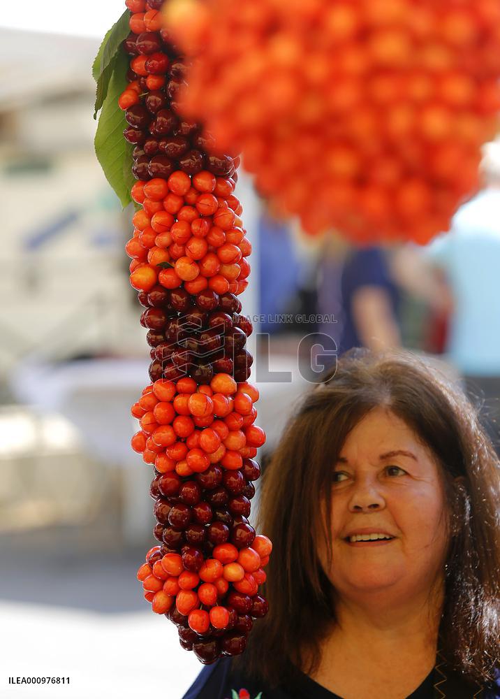 LEBANON-HAMMANA-CHERRY FESTIVAL