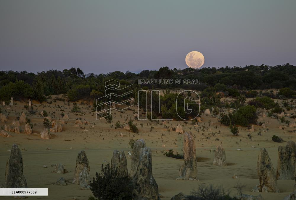 AUSTRALIA-WEST AUSTRALIA-SUPERMOON