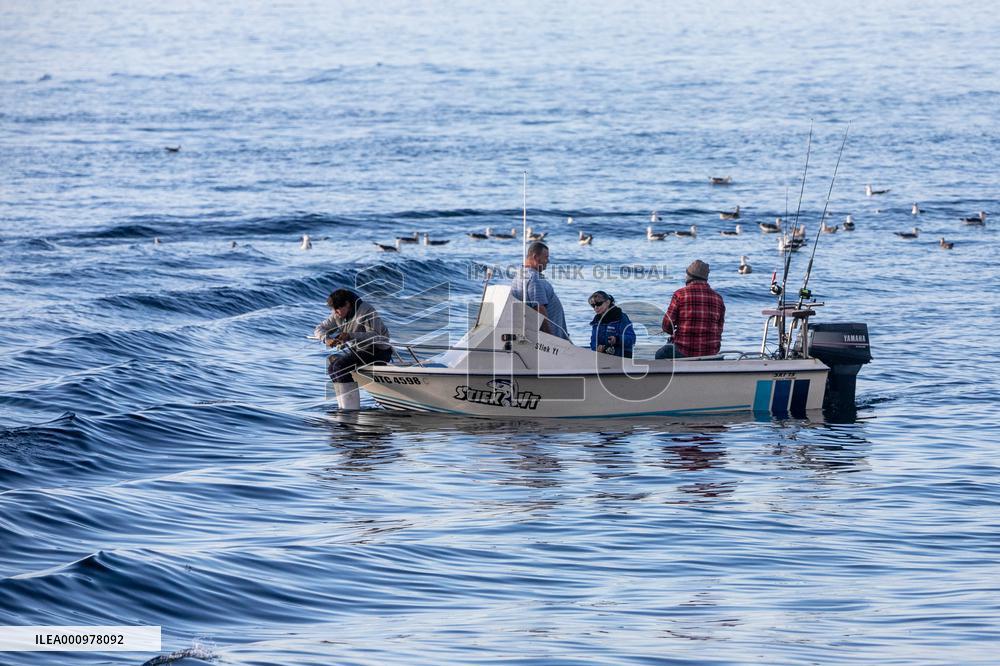 SOUTH AFRICA-CAPE TOWN-SEA FISHING