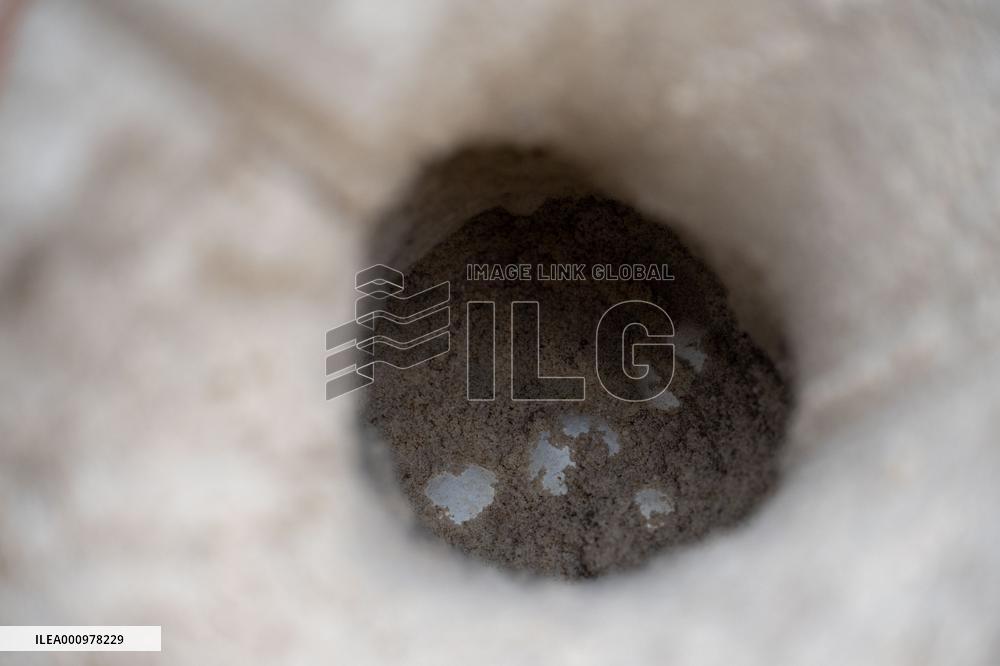 MALAYSIA-REDANG ISLAND-SEA TURTLE-PROTECTION