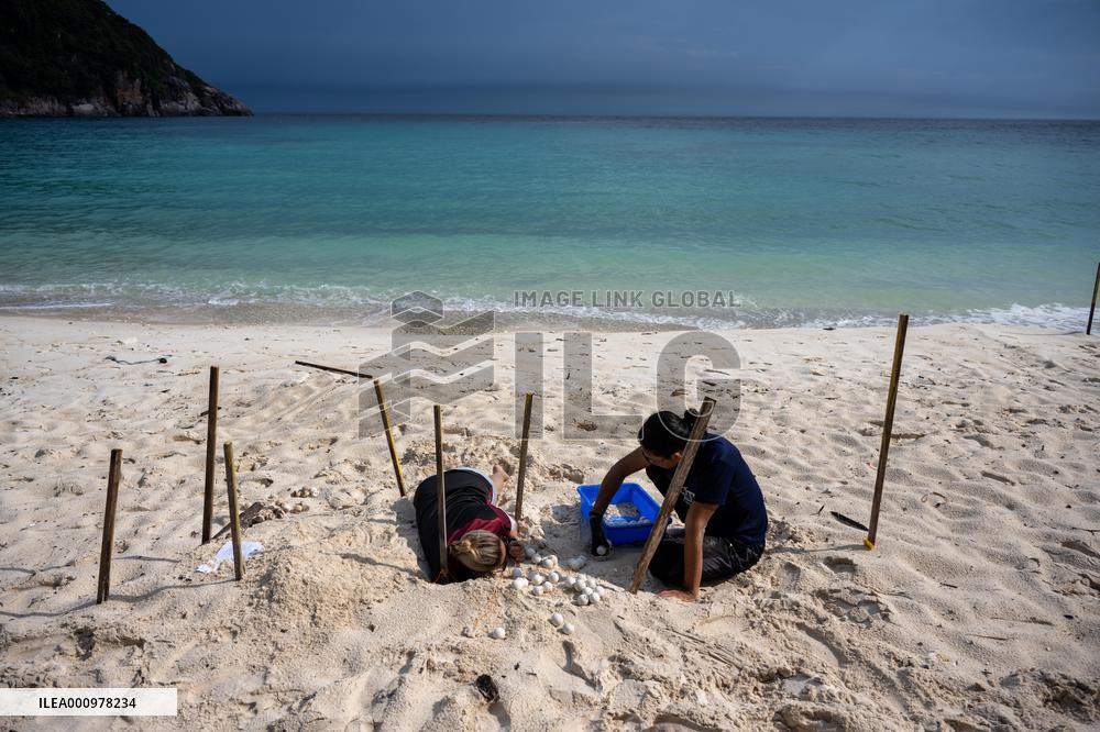 MALAYSIA-REDANG ISLAND-SEA TURTLE-PROTECTION