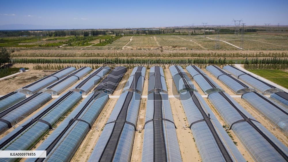 CHINA-NINGXIA-MAOWUSU DESERT-SAND CONTROL (CN)