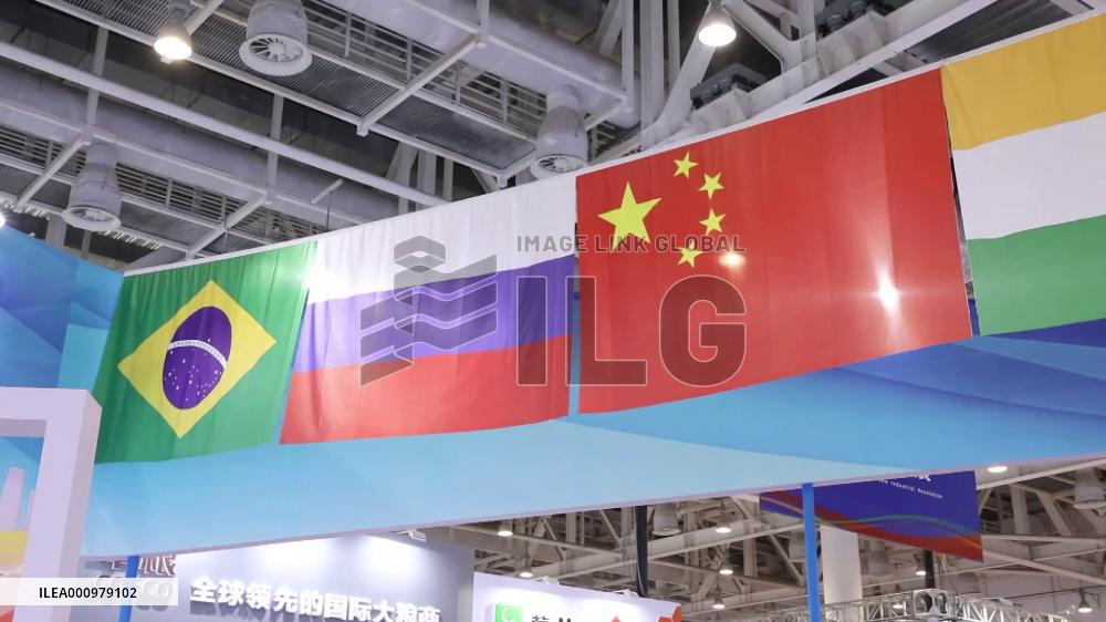 BRICS countries to play important roles in boosting global growth: Turkish experts