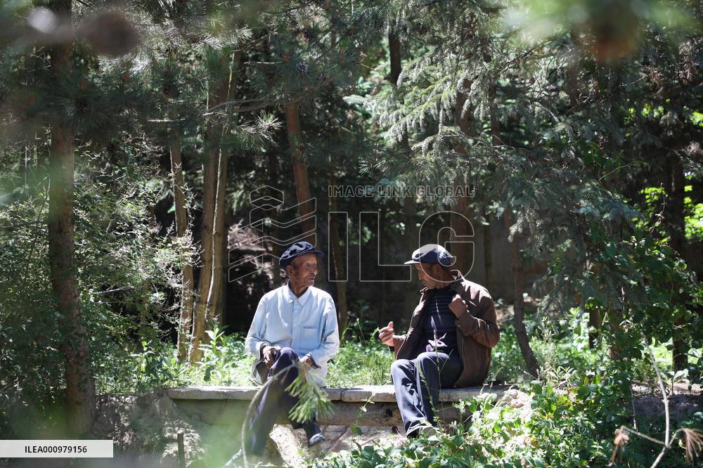 CHINA-GANSU-OLD MEN-TREE PLANTING (CN)