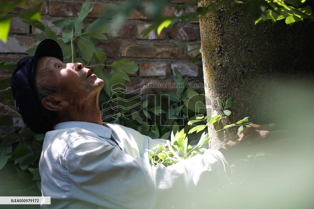 CHINA-GANSU-OLD MEN-TREE PLANTING (CN)