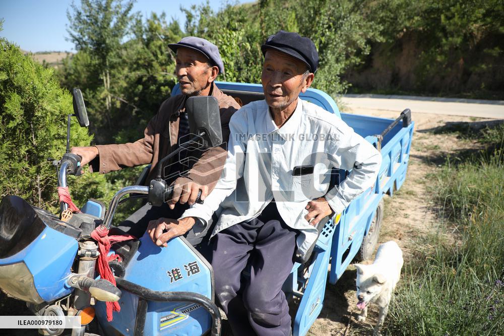 CHINA-GANSU-OLD MEN-TREE PLANTING (CN)
