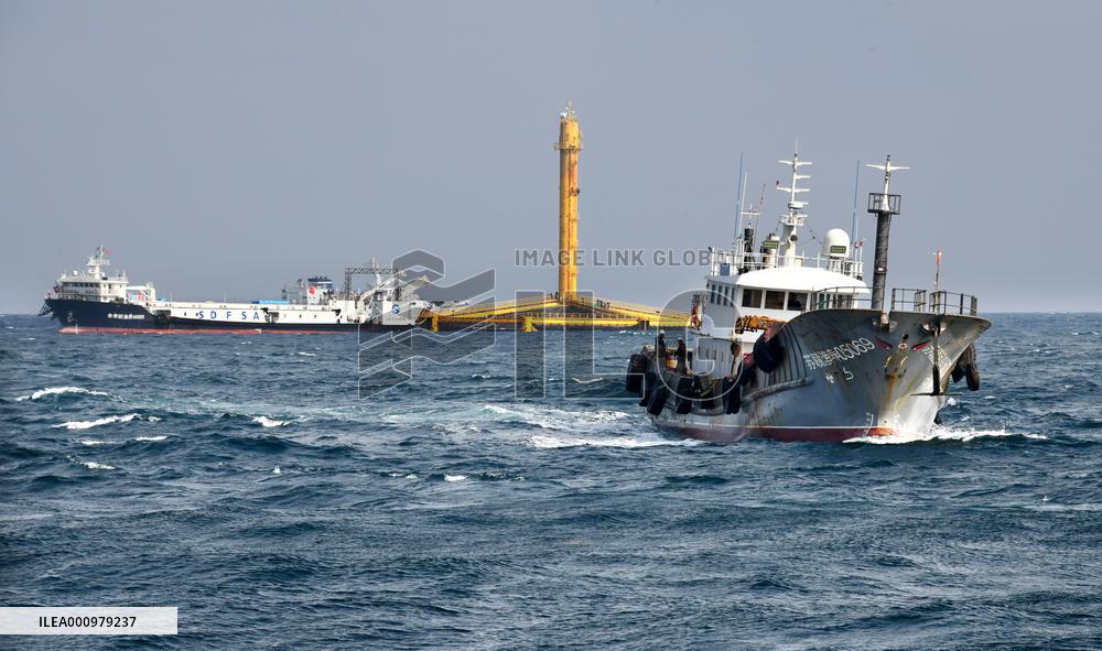 CHINA-SHANDONG-SELF-BRED DEEP-SEA ATLANTIC SALMONS-HARVEST (CN)
