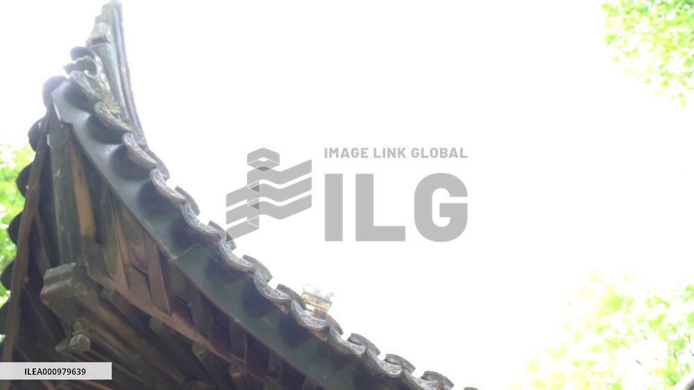 South African student "feels like home" in Beijing