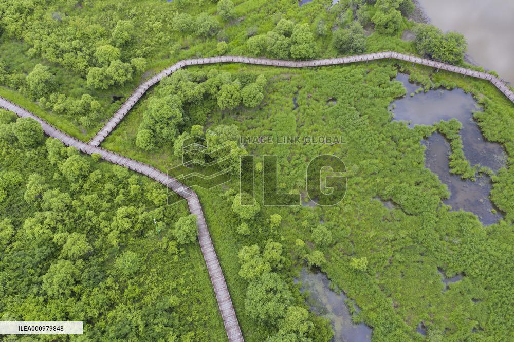 CHINA-HEILONGJIANG-WUSULI RIVER-SCENERY (CN)