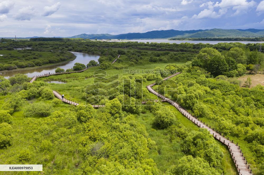 CHINA-HEILONGJIANG-WUSULI RIVER-SCENERY (CN)