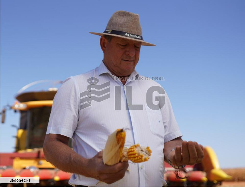 BRAZIL-CHINA-AGRICULTURE COOPERATION