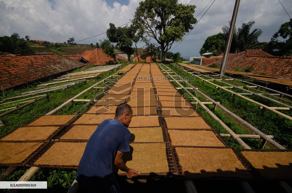 INDONESIA-WEST JAVA-TOBACCO-LEAVES