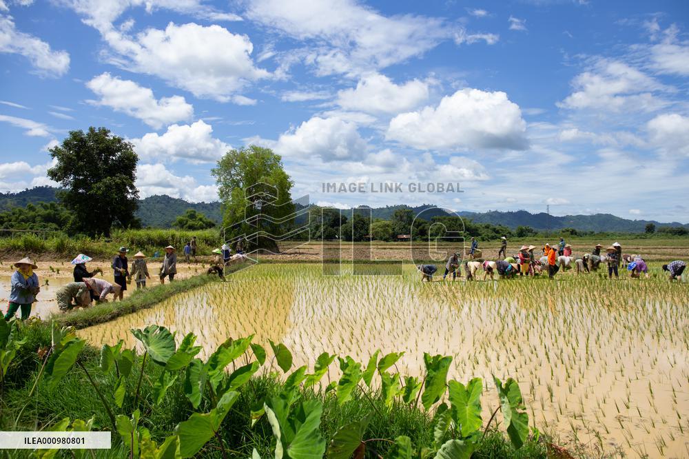 LAOS-VIENTIANE-MUANG FUENG-TOURISM-DAILY LIFE