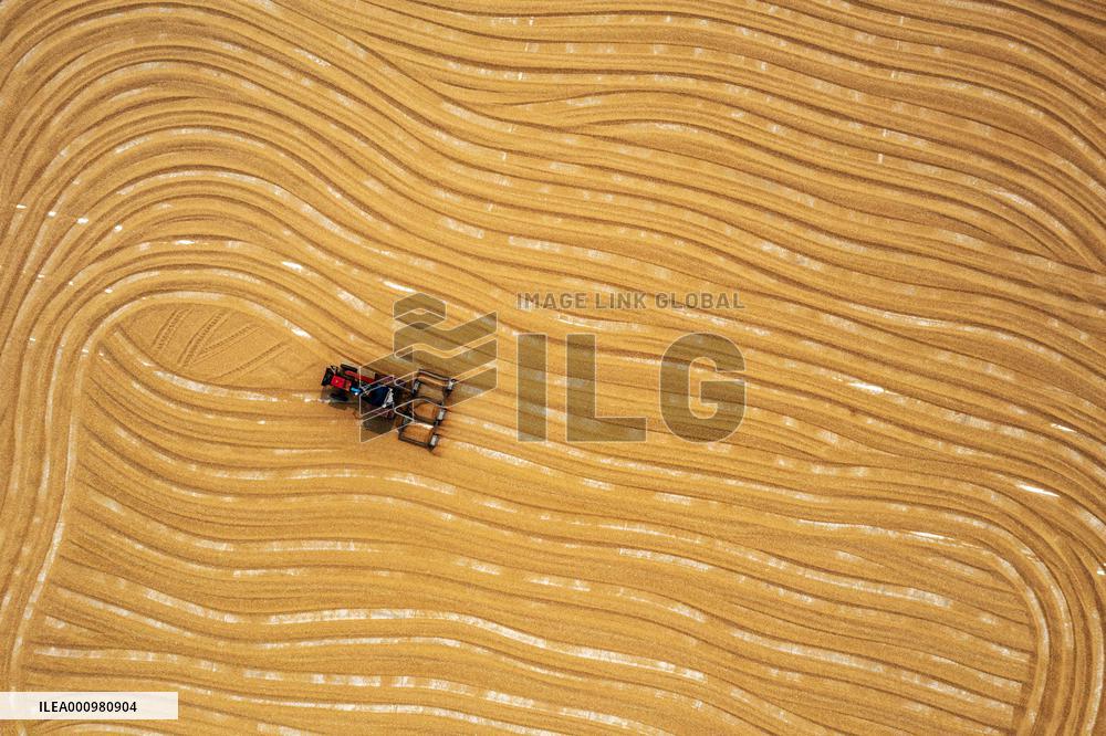 #CHINA-SUMMER-FARMING (CN)