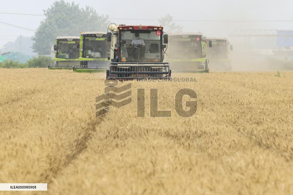 #CHINA-SUMMER-FARMING (CN)
