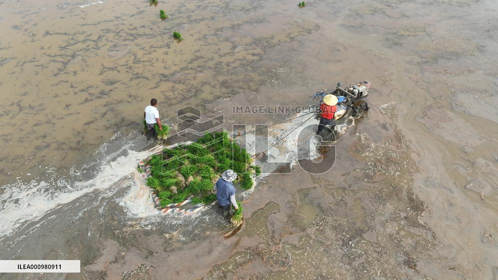 #CHINA-SUMMER-FARMING (CN)
