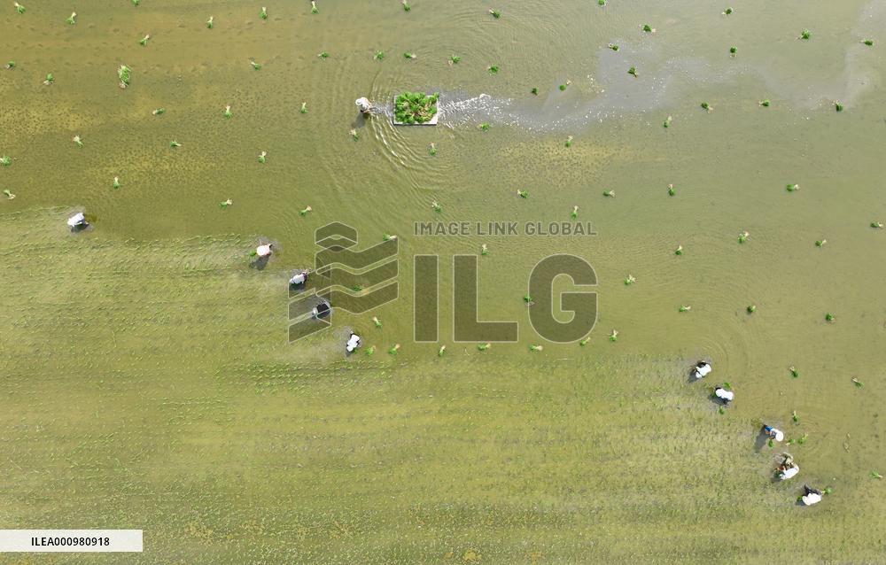 #CHINA-SUMMER-FARMING (CN)