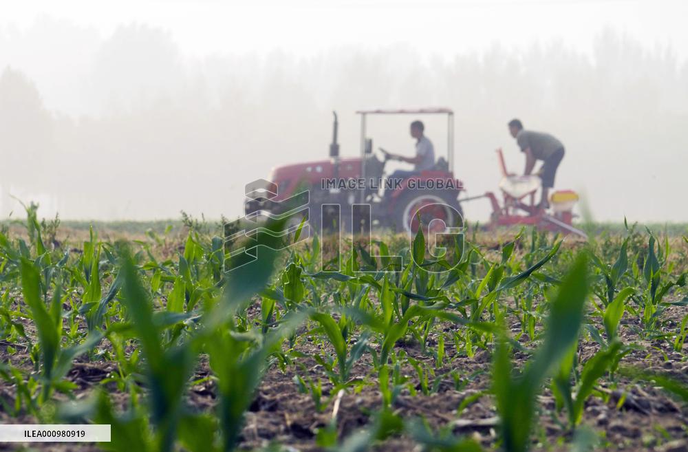 #CHINA-SUMMER-FARMING (CN)
