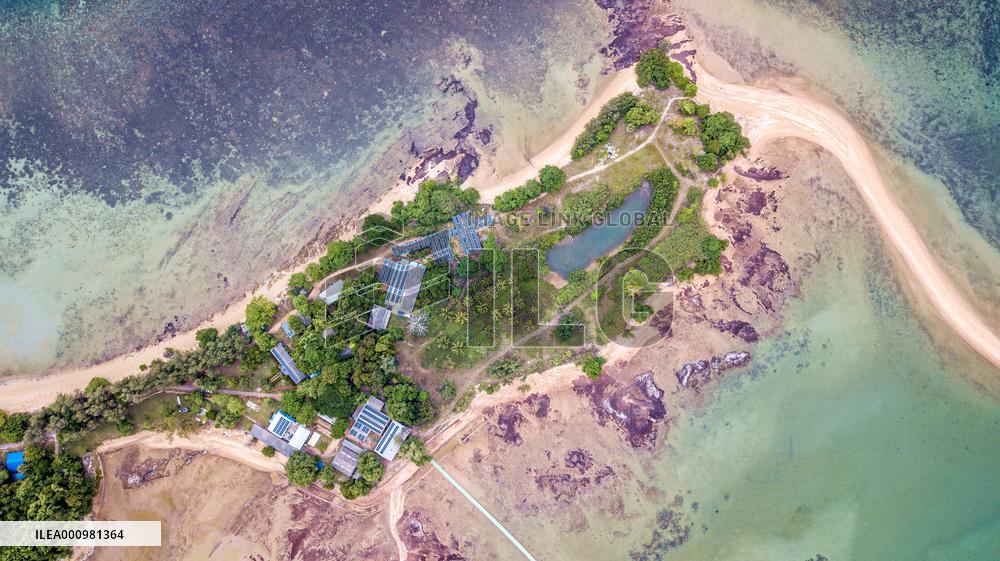 THAILAND-RAYONG-SEA TURTLE CONSERVATION-RESEARCHER