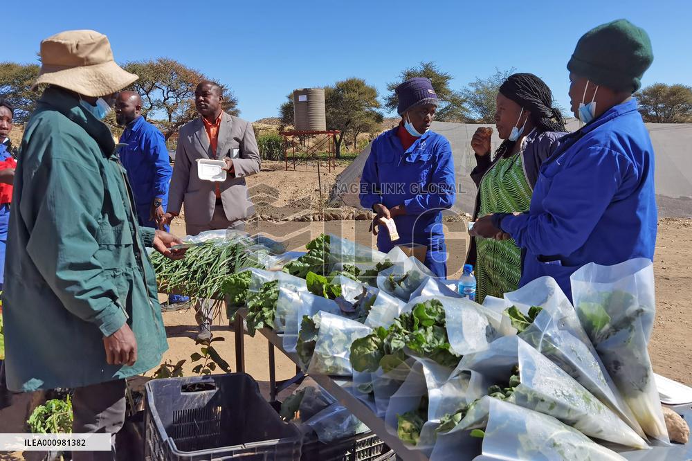 NAMIBIA-WINDHOEK-AGRICULTURAL PROJECT-HOMELESS PEOPLE