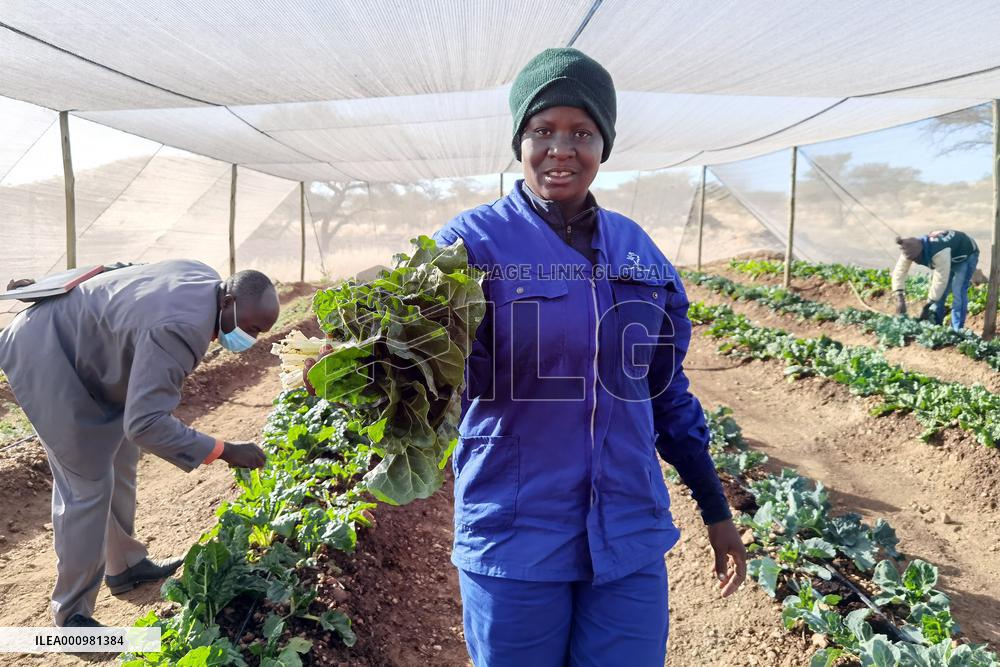NAMIBIA-WINDHOEK-AGRICULTURAL PROJECT-HOMELESS PEOPLE
