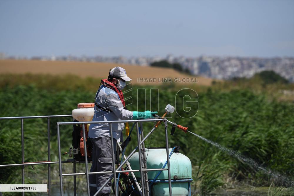 TURKEY-ISTANBUL-MOSQUITOES-DISINFECTION