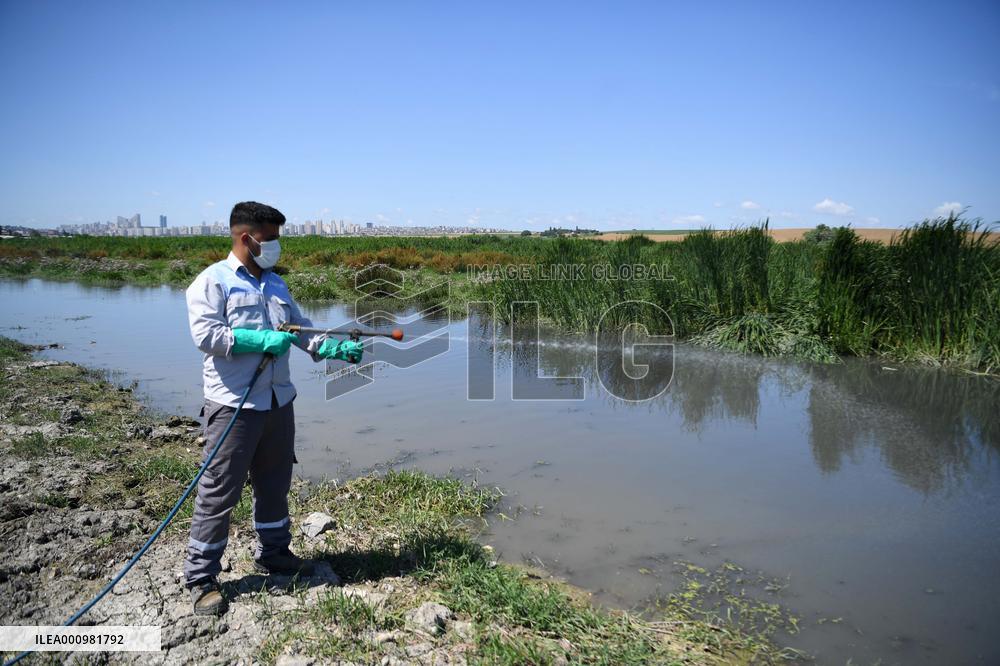 TURKEY-ISTANBUL-MOSQUITOES-DISINFECTION
