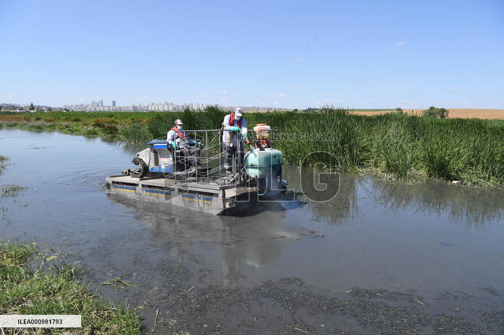 TURKEY-ISTANBUL-MOSQUITOES-DISINFECTION