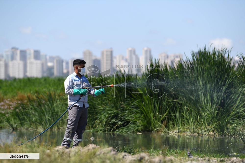 TURKEY-ISTANBUL-MOSQUITOES-DISINFECTION