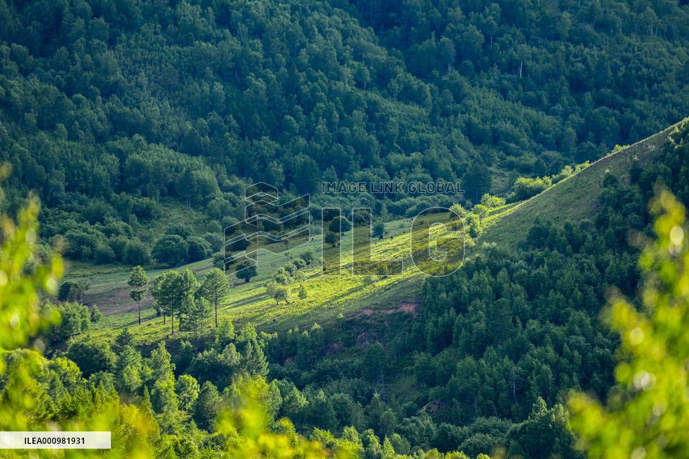 CHINA-INNER MONGOLIA-HINGGAN LEAGUE-SCENERY (CN)