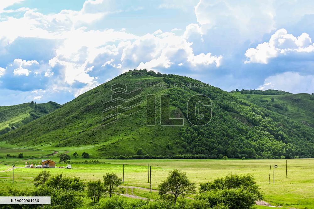 CHINA-INNER MONGOLIA-HINGGAN LEAGUE-SCENERY (CN)